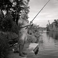Island - July 2008